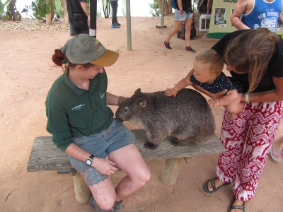 rufusWombat