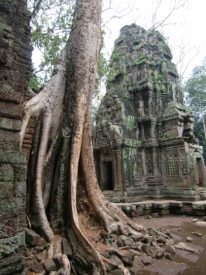 taProhm